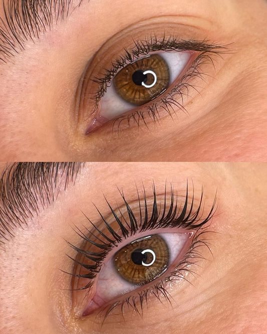 LASHES